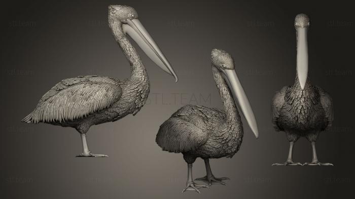 Статуэтки птицы pelican5